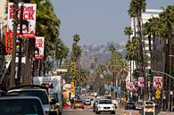 Walk of Fame Hollywood by Liesbeth Vogelzang thumbnail