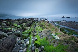 Mupe Bay 1 sur Deshamer