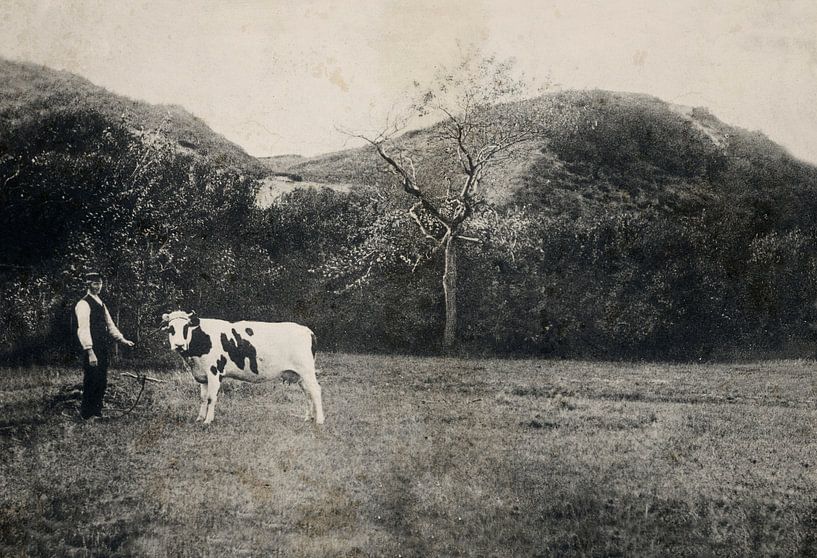 Walk with the cow by Kurt Schraepen