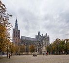 St John's Cathedral with chestnut trees in autumn colors by Sander Groffen thumbnail