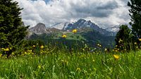 Swiss