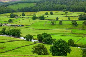 Im Wharfedale