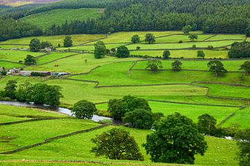 Wharfedale