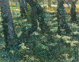 Unterholz - Vincent van Gogh