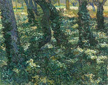 Unterholz - Vincent van Gogh