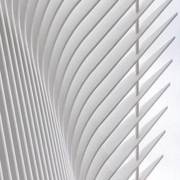 Detail Oculus New York 3 van Adelheid Smitt