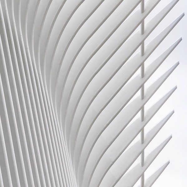 Detail Oculus New York 3 by Adelheid Smitt
