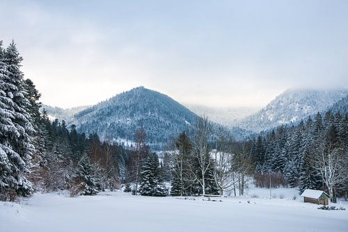 View over the Vosges in the winter