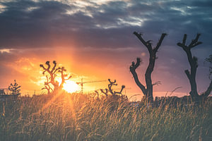 Schöner bunter Sonnenuntergang