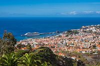 Blick auf Funchal auf der Insel Madeira, Portugal