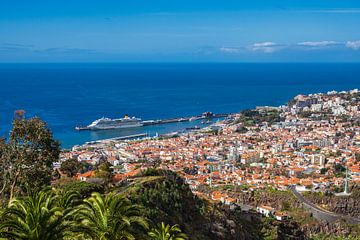View to the city Funchal on the island Madeira, Portugal by Rico Ködder