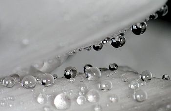 Regentropfen