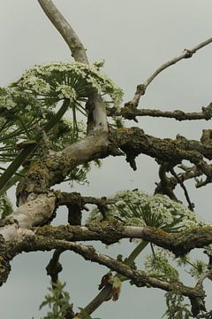 Kunstwerk in de natuur von By Foto Joukje