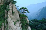 Huang Shan in der Provinz Anhui in China von Merijn van der Vliet Miniaturansicht