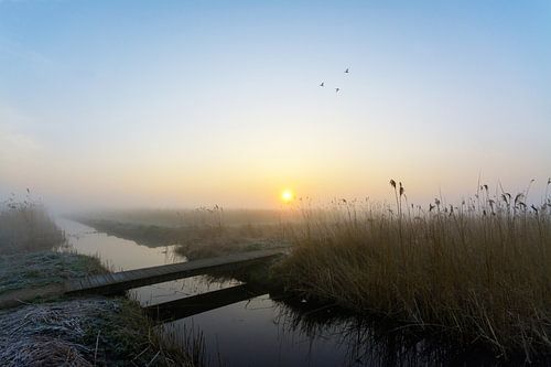 Sunrise in Vockestaert