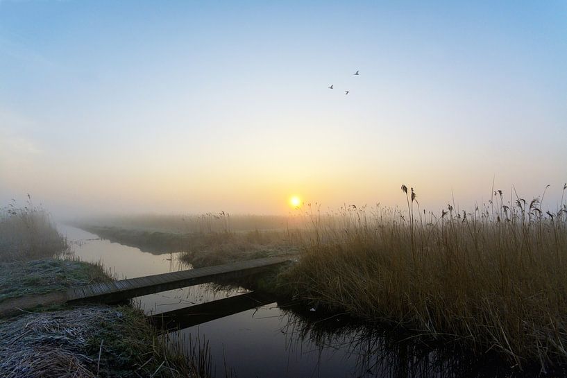 Sonnenaufgang in Vockestaert von Remco Van Daalen