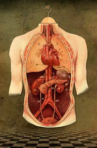The Anatomy Lesson