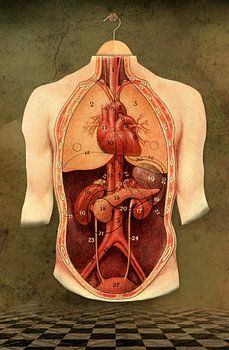 The Anatomy Lesson