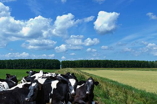 Uitzicht op Tholen 3 by Maarten J Eykman