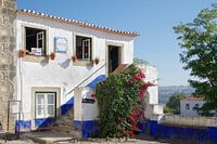 A house with bougainvillea in Óbidos (Portugal)