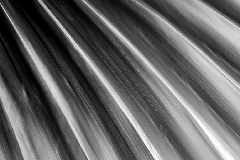 Divergent diagonals by Studio468