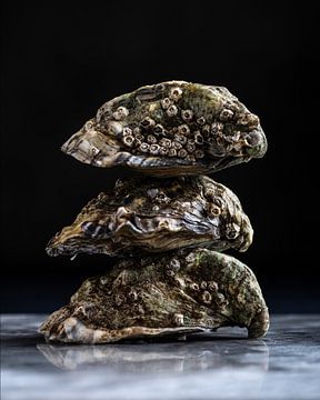 Trois huîtres sur Anoeska Vermeij Fotografie