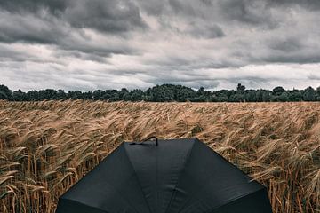 Wachtkamer van het onweer