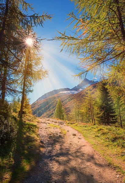 hiking trail swiss alps canton grisons by SusaZoom