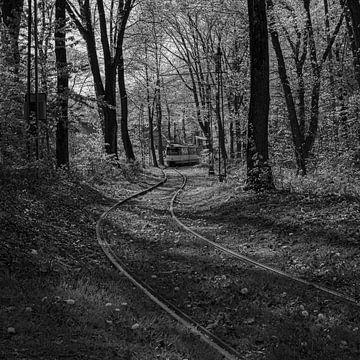 Straßenbahn im Wald (schwarz-weiß)