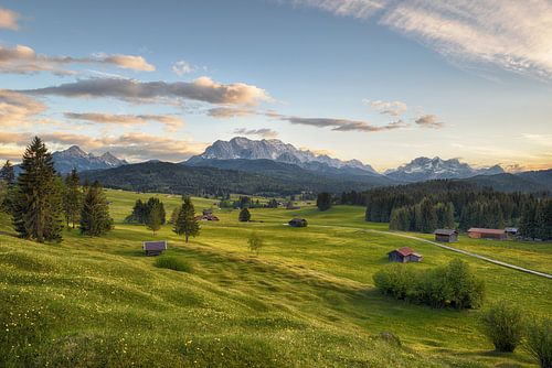 Evening on the humpback meadows - beautiful bavaria