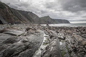 Mouthmillbeach