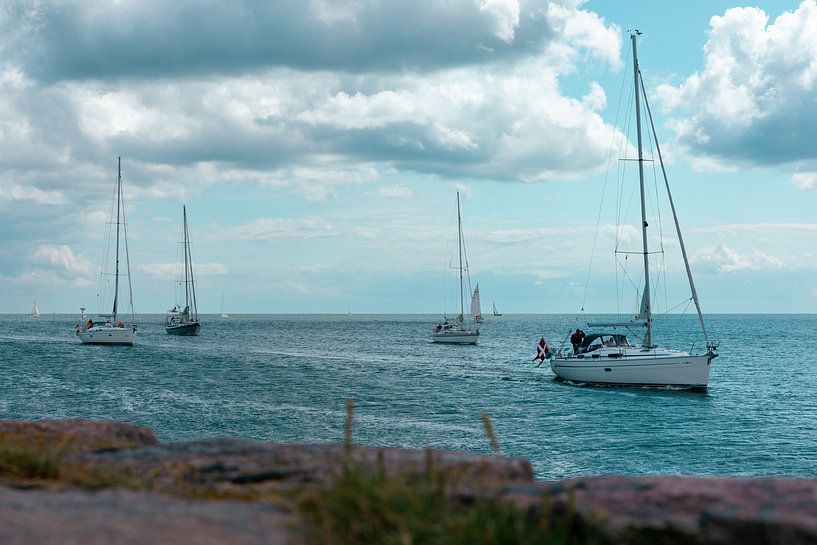 Sailboats by Sophie Luther