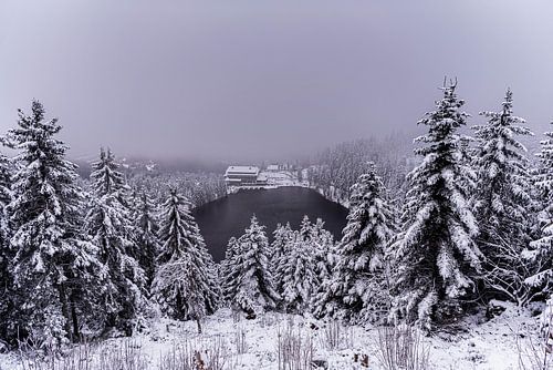 Verschneite Landschaft
