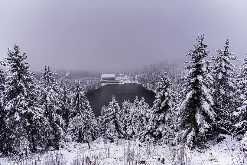 Besneeuwd landschap van Julia Schellig