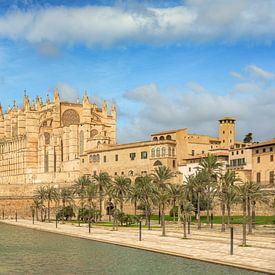 Kathedrale von Palma de Mallorca von Michael Valjak