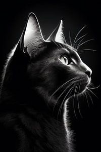 Porträt einer schwarzen Katze mit Gegenlicht