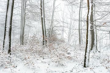 Winter landschap van Jan Linskens