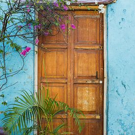 Houten deur met blauwe muur en Boucanville in Colombia - Reisfotografie - Cartagena Colombia van Franci Leoncio