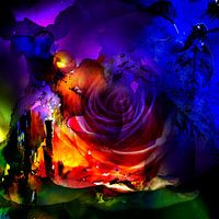 A SUN ROSE