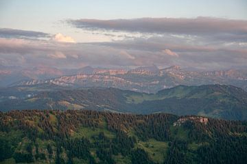 Blumige Sicht vom Hochgrat auf die Allgäuer Alpen zum Sonnenuntergang von Leo Schindzielorz