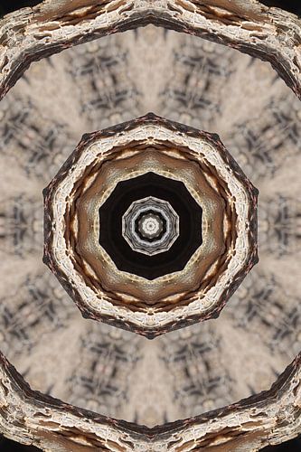 Kaleidoscope Trunk
