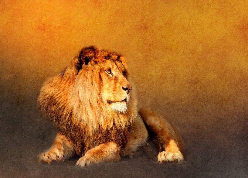 König der Löwen van Heike Hultsch