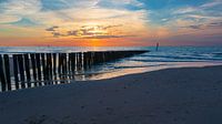 The coast of Zeeuws-Vlaanderen.