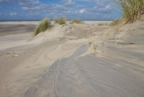 Het spel van  kleuren en lijnen in de duinen