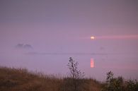 Ven bij zonsopkomst met ontwakende eenden van Anneke Hooijer thumbnail