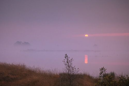 Ven bij zonsopkomst met ontwakende eenden