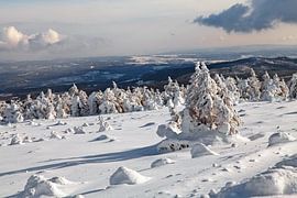 Winterlandschaft in der Nähe des Brockens im Harz von t.ART