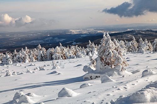 Winterlandschap bij de Brocken in het Harzgebergte