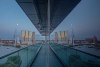 rotterdam reflection