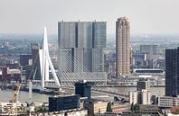 The Erasmus Bridge and Wilhelminapier in Rotterdam by MS Fotografie | Marc van der Stelt thumbnail